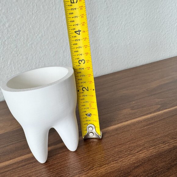 3D Printed Tooth Succulent Pot – Minimalist White Planter, Dental Decor - Picture 4 of 5